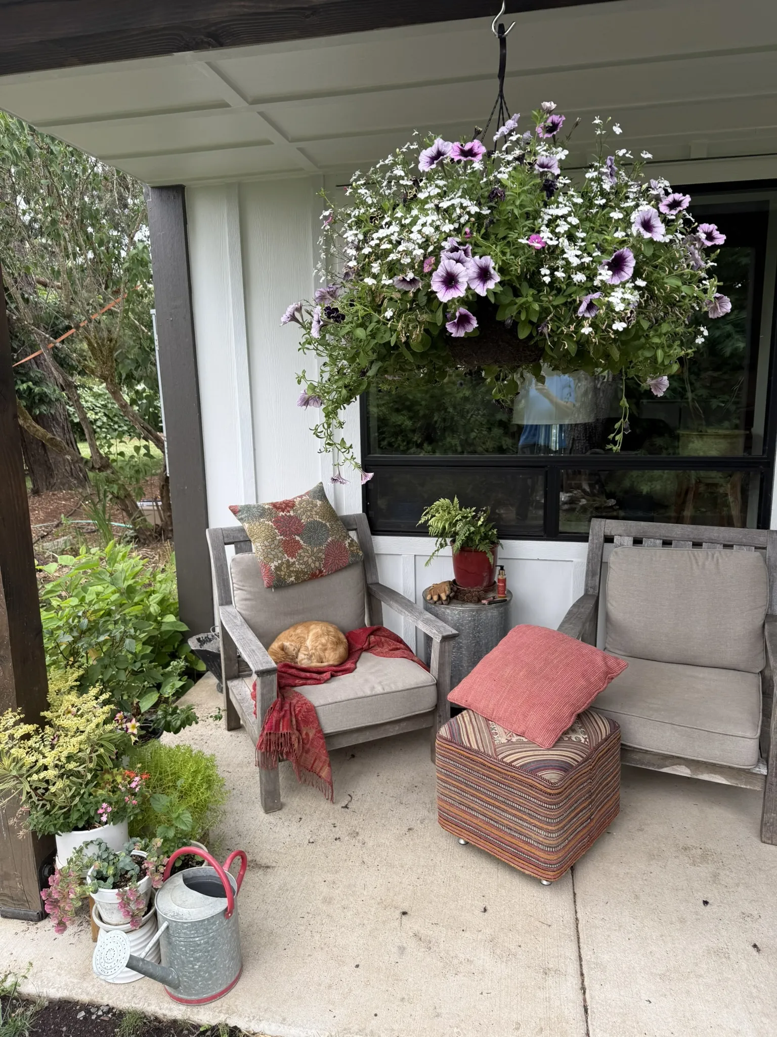 The same Philomath property finished. Front porch with weathered Adirondack chairs, hanging basket of purple petunias and white lobelia in full bloom, garden plants in pots, watering can on the patio.